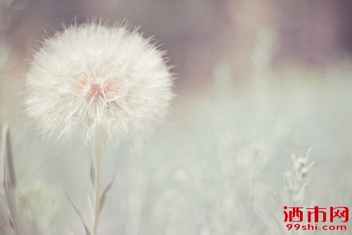 20120218002053_TZPxt.jpg