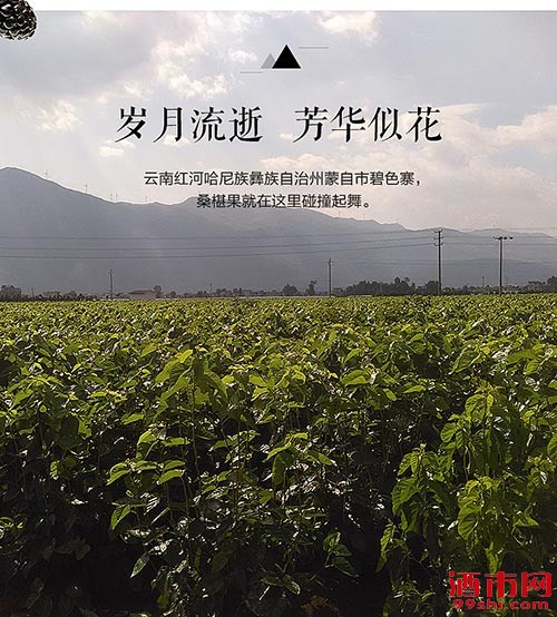 微信图片_20181130154822.jpg