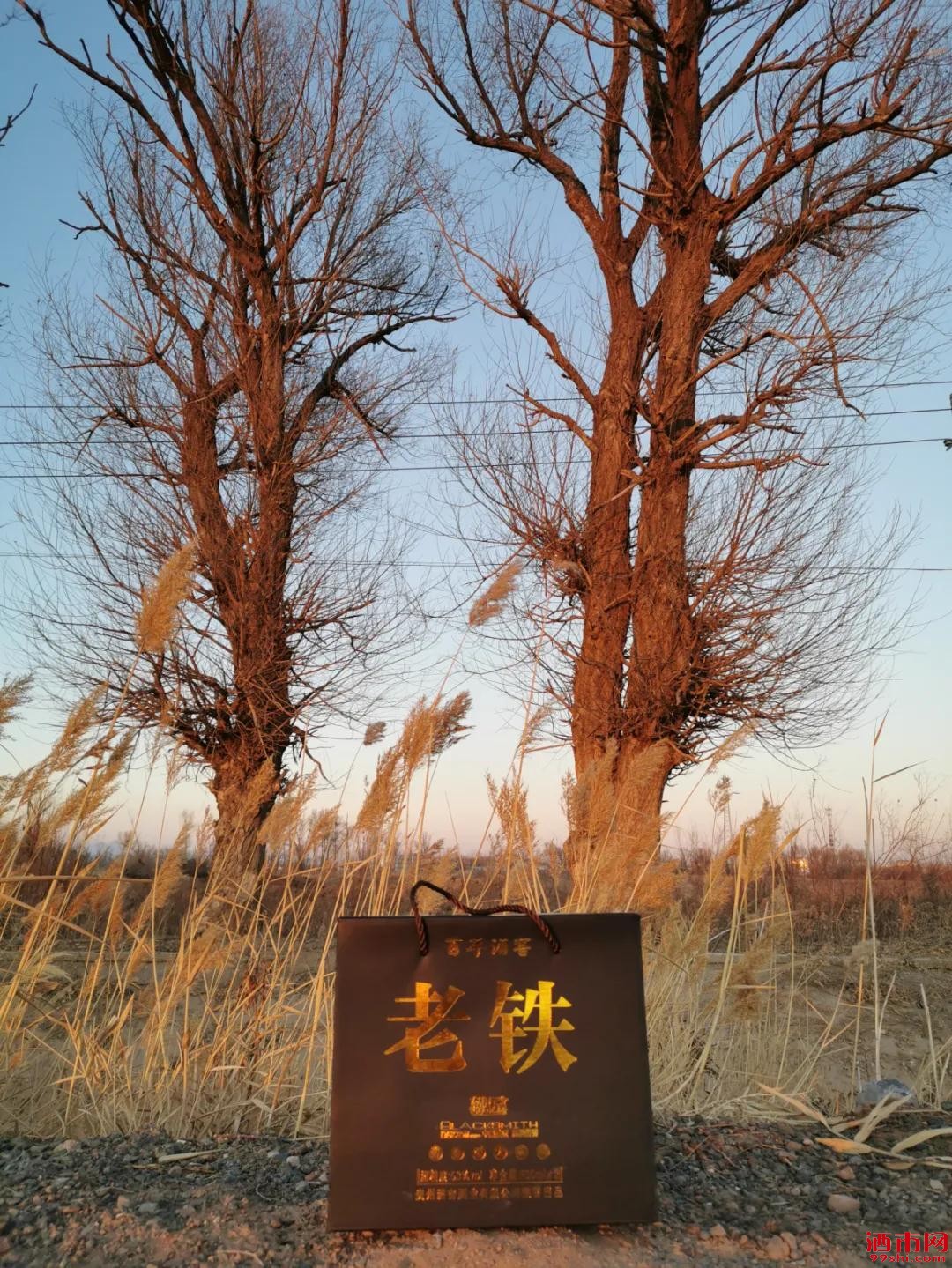 ΢ͼƬ_20201212093347.jpg